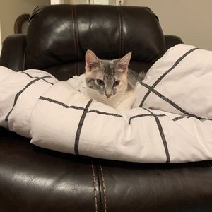 Meet your Posher, Kim